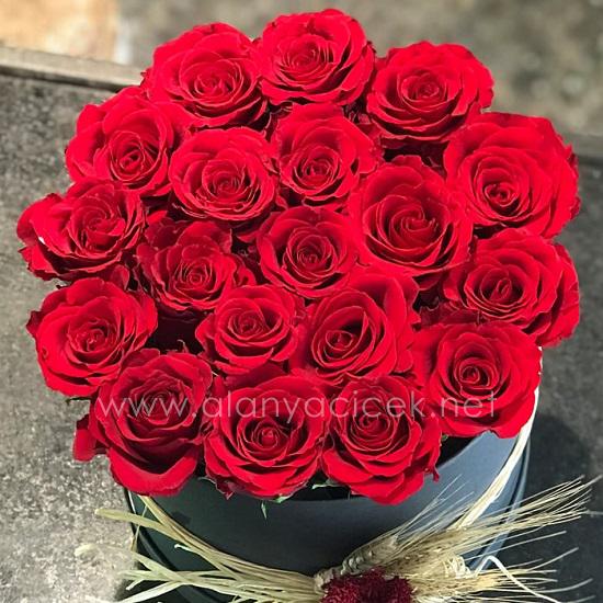 20 красных роз в коробке Resim 2