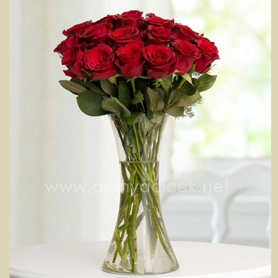 19 rote Rosen in der Vase Resim 1