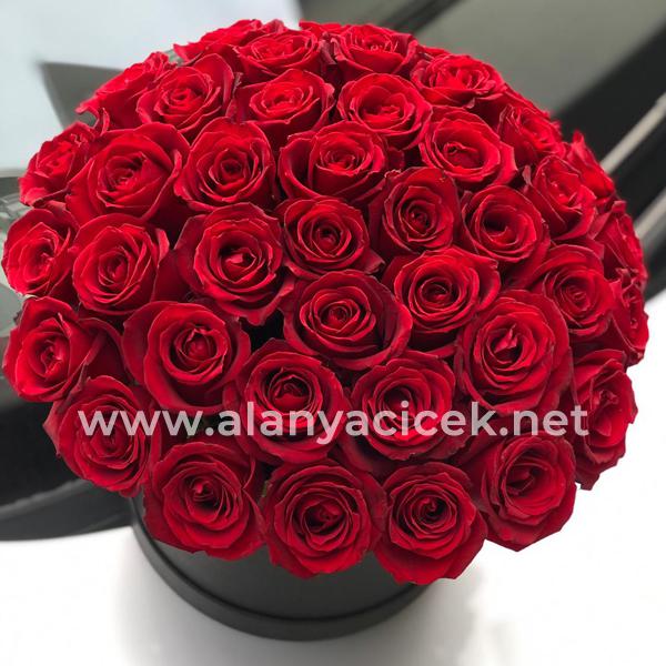 51 Red Roses in Box Resim 2