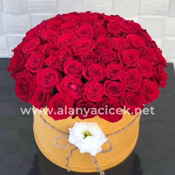 51 Red Roses in the Box Resim 1