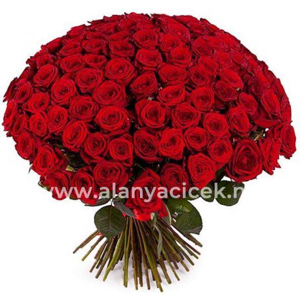 101 Roses Vip Bouquet Resim 2