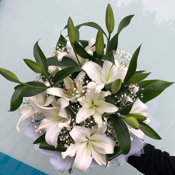 White Lilies Resim 2