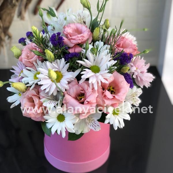 product-details