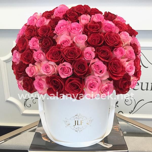 in Box 75 Roses Pink and Red Resim 1