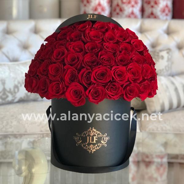 in Box 55 Red Roses