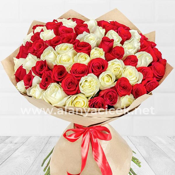 101 Red and White Roses Resim 1