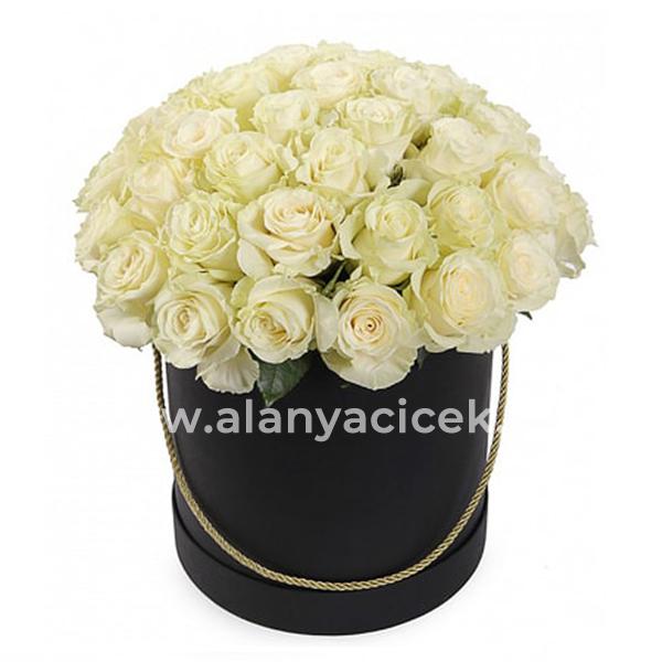 35 White Roses in Box Resim 1