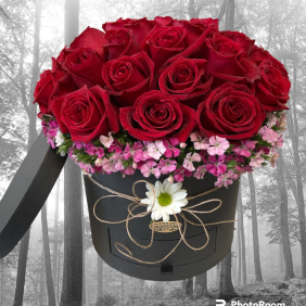  Alanya Florist 23 Red Roses in Box