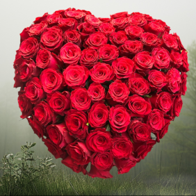  Цветы в Алании Композиция из 65 роз в форме сердца