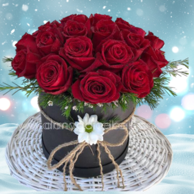  Флорист в Алании 23 красных розы в коробке