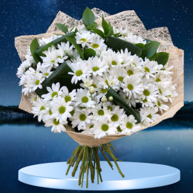  Alanya Blumenbestellung 25 Zweig Chrysantheme