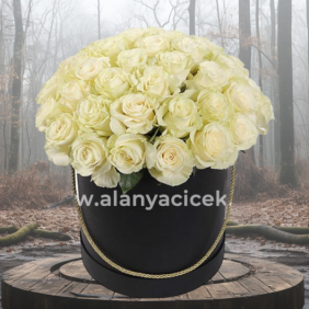  Alanya Blumenbestellung 
