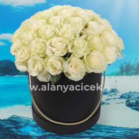  Alanya Blumenbestellung 35 White Roses in Box