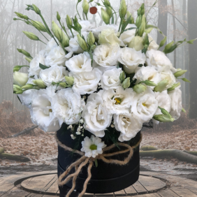  Alanya Flower Order White Eustoma in Black Box