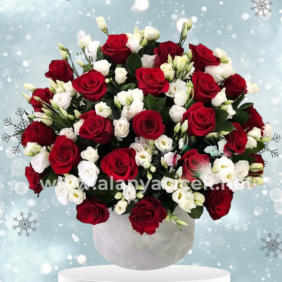  Alanya Blumen Eustoma and Roses