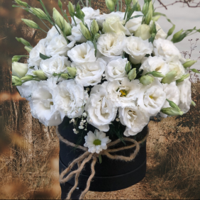  Alanya Flower Order White Eustoma in Black Box