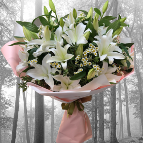  Alanya Flower Delivery Lilies White Color