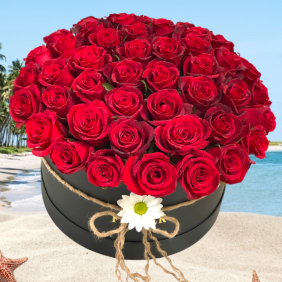  Заказ цветов в Алании 41 красная роза в коробке 1