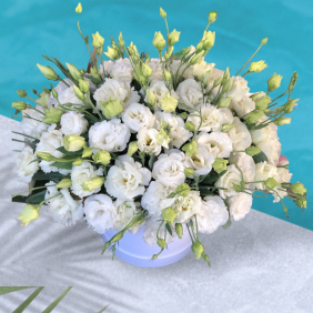  Цветы в Алании Белый лизиантус в коробке