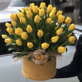  Alanya Çiçekçiler 51 Yellow Tulips in Box