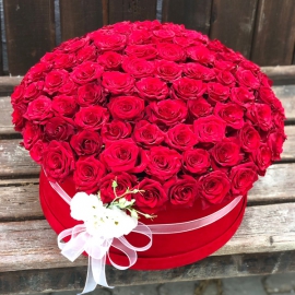  Alanya Flower Order 101 Roses in Box