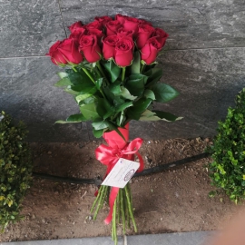  Alanya Flower Order Red Roses 17 Pcs