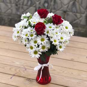  Alanya Blumenbestellung Gänseblümchen in Vase 3 Rosen