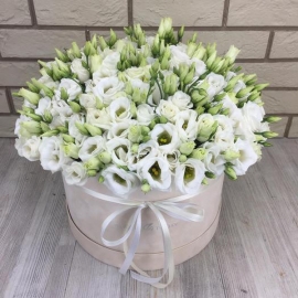  Alanya Flower Delivery White Lisianthus in Box