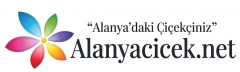 Alanya Çiçekçilik