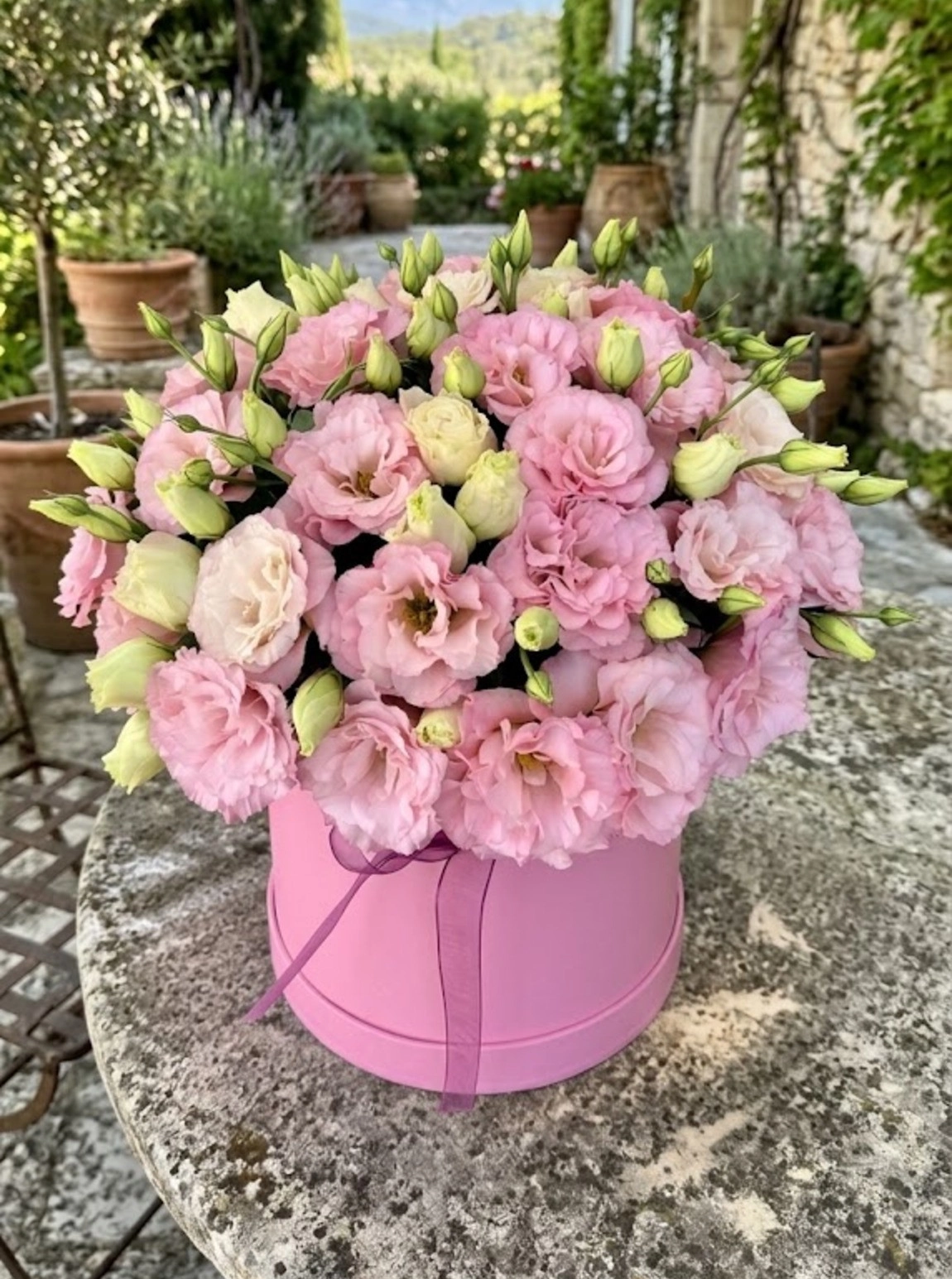 Kutuda Pembe Lisyantuslar