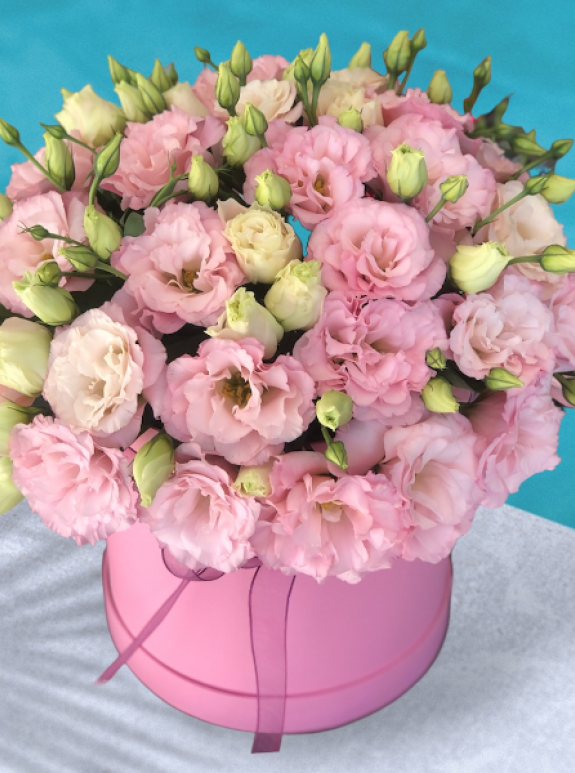 Kutuda Pembe Lisyantuslar