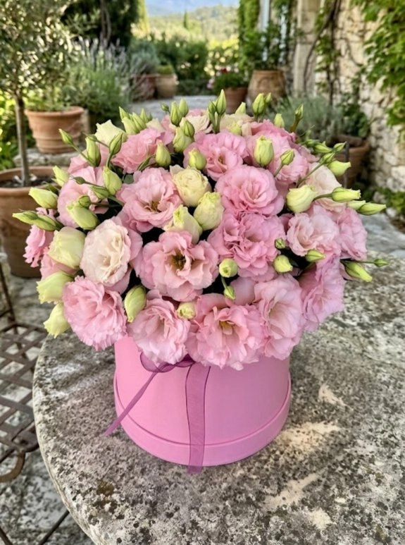Kutuda Pembe Lisyantuslar